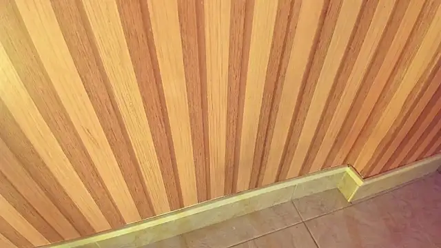 mia  blaze   online show from 13, 11, 2025