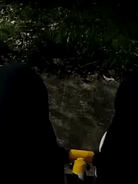 roludao fun online show from 27, 11, 2025