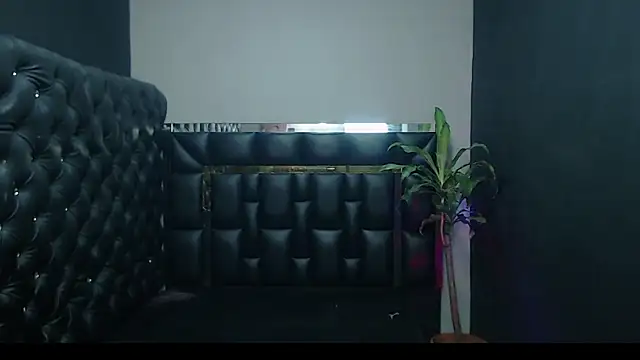 Snapshot of _camila_trans_ chatting on 8, 2, 2026 camila trans online show from 8, 2, 2026