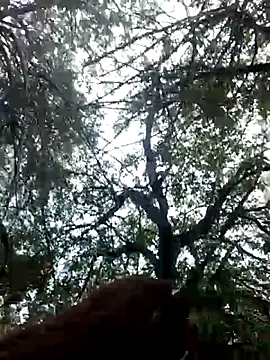 Labellasex online show from 20, 12, 2025