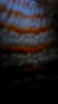 Snapshot of Sexecochon chatting on 22, 12, 2025 Sexecochon online show from 22, 12, 2025