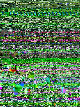 Dev2k22 online show from 17, 12, 2025