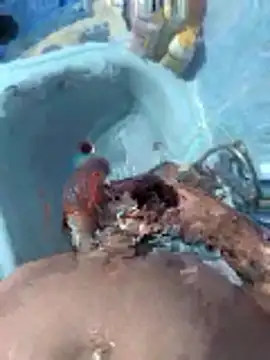 Miguelitros online show from 27, 4, 2026