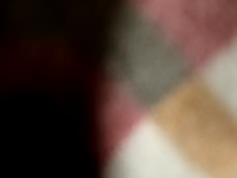 kokoto-59 online show from 6, 3, 2026