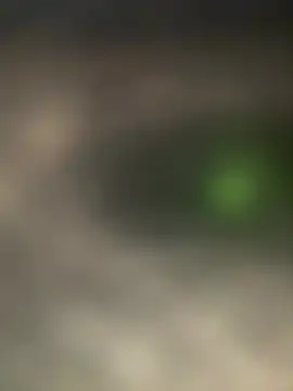 bart98geil online show from 10, 3, 2026