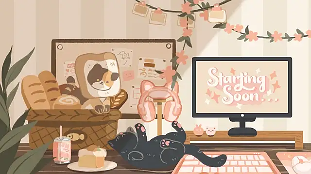 Snapshot of geekycastillo chatting on 17, 1, 2026 geekycastillo online show from 17, 1, 2026