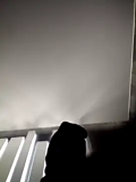 portuguesacasada online show from 12, 11, 2025