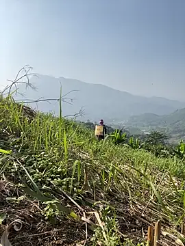 Irin jo online show from 23, 11, 2025