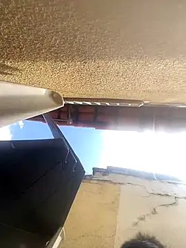 Bkackmamba online show from 9, 11, 2025