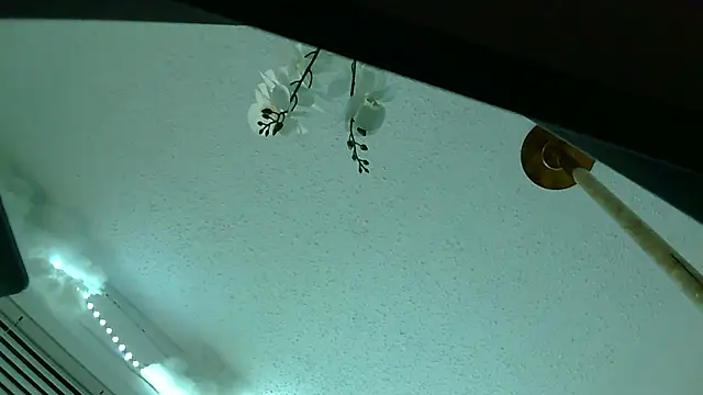 playxrated online show from 10, 4, 2026