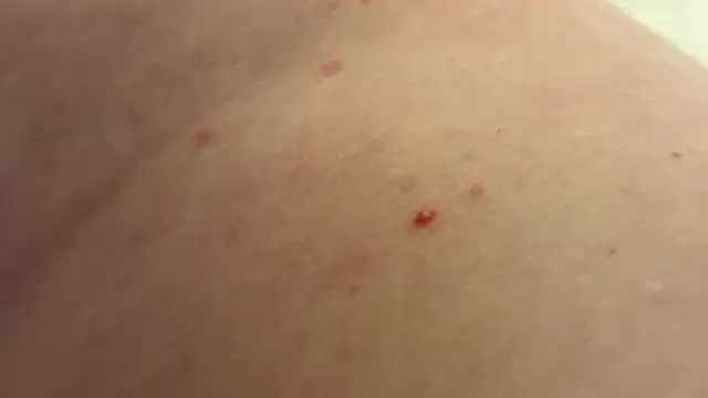 Snapshot of andrenoma427 chatting on 13, 1, 2026 andrenoma427 online show from 13, 1, 2026