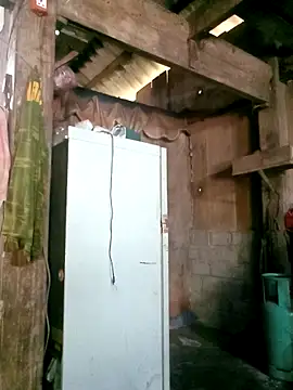 Noelle-e online show from 25, 3, 2026