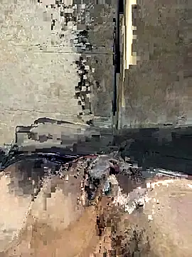 Telugus online show from 25, 3, 2026