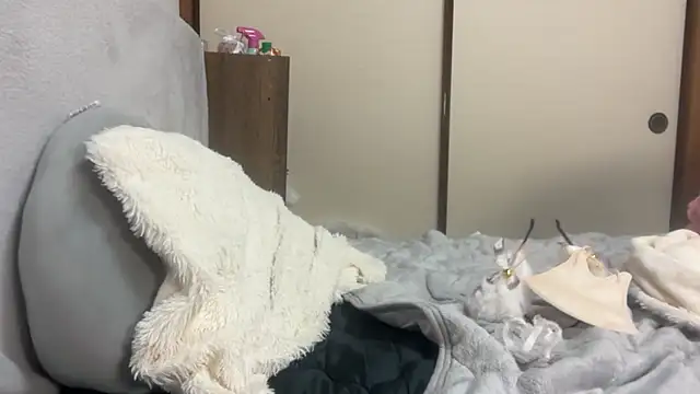 tubakiaki online show from 1, 4, 2026