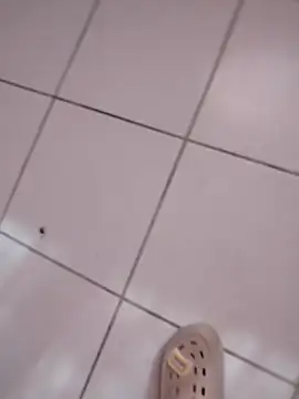 Snapshot of HomeyVending chatting on 11, 11, 2025 HomeyVending online show from 11, 11, 2025