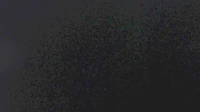 little emiily  online show from 5, 11, 2025