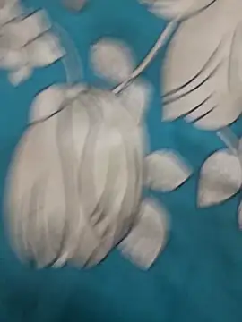 Haryanvi sanju online show from 15, 3, 2026