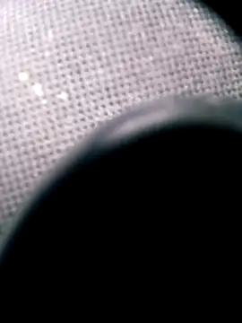 pino870 online show from 20, 3, 2026