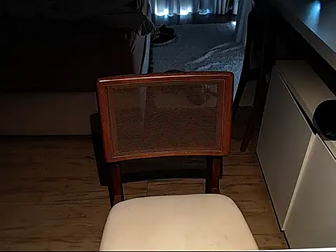 Professor  Discreto online show from 2, 3, 2026