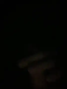 Snapshot of Manfredini607452 chatting on 26, 11, 2025 Manfredini607452 online show from 26, 11, 2025