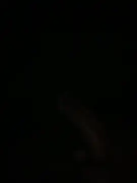 Snapshot of Manfredini607452 chatting on 4, 2, 2026 Manfredini607452 online show from 4, 2, 2026