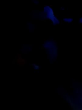 KARNEs24666 online show from 7, 11, 2025