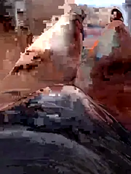 Snapshot of Vanja33 chatting on 3, 11, 2025 Vanja33 online show from 3, 11, 2025