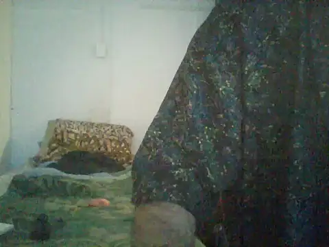 Snapshot of GuilleHotsexy chatting on 4, 11, 2025 GuilleHotsexy online show from 4, 11, 2025