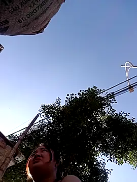 Bee-bgolden online show from 26, 11, 2025