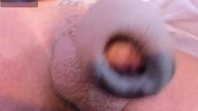 camii raux online show from 10, 3, 2026