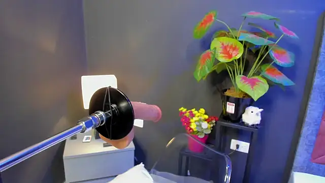 Amy whittee online show from 12, 4, 2026