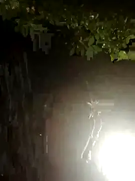 ParlousCarpet online show from 10, 3, 2026