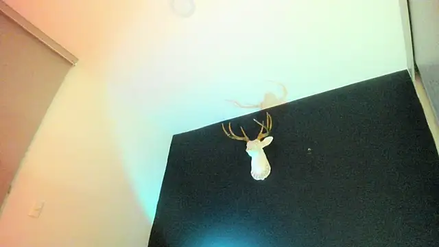 Snapshot of Zeus_Jeff chatting on 19, 2, 2026 Zeus Jeff online show from 19, 2, 2026