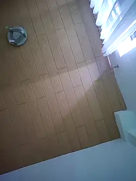 TirelessLot3 online show from 6, 3, 2026