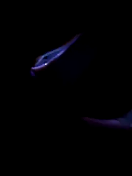 Snapshot of fireblond01 chatting on 12, 11, 2025 fireblond01 online show from 12, 11, 2025