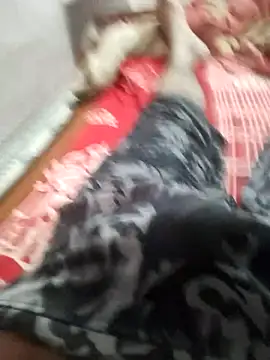 hyderabad single online show from 30, 11, 2025