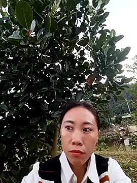 -Chua-90 online show from 17, 12, 2025