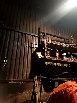 -Chua-90 online show from 9, 2, 2026