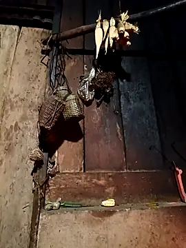 -Chua-90 online show from 13, 2, 2026