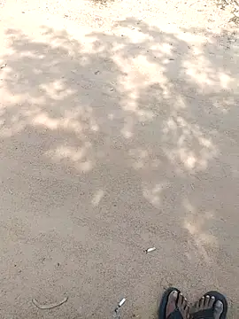 summa renu online show from 15, 11, 2025