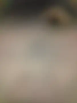 Snapshot of piggylatino chatting on 2, 2, 2026 piggylatino online show from 2, 2, 2026