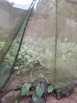 gugu0022 online show from 25, 2, 2026