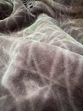 Afganiboy online show from 4, 2, 2026