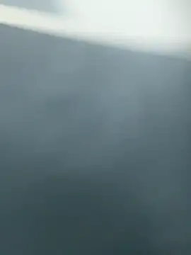 lizmy online show from 2, 12, 2025