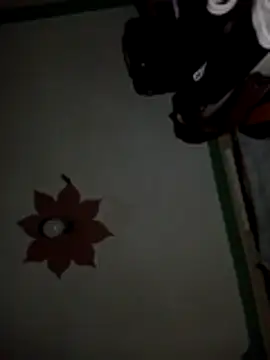 honeypot224 online show from 15, 3, 2026