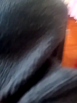 Jeison0323 online show from 25, 2, 2026