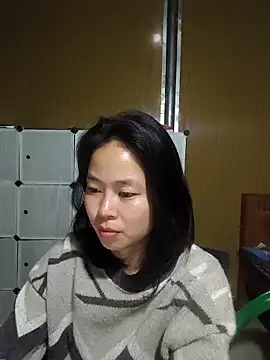 Cat-meow online show from 5, 3, 2026