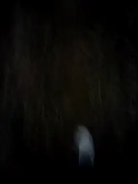 itsme chappie online show from 19, 2, 2026