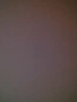 DeflatedBehavior online show from 8, 3, 2026