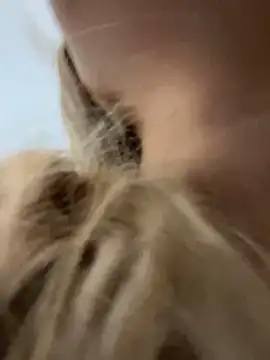 Snapshot of Chloe_GraceeX chatting on 2, 2, 2026 Chloe GraceeX online show from 2, 2, 2026